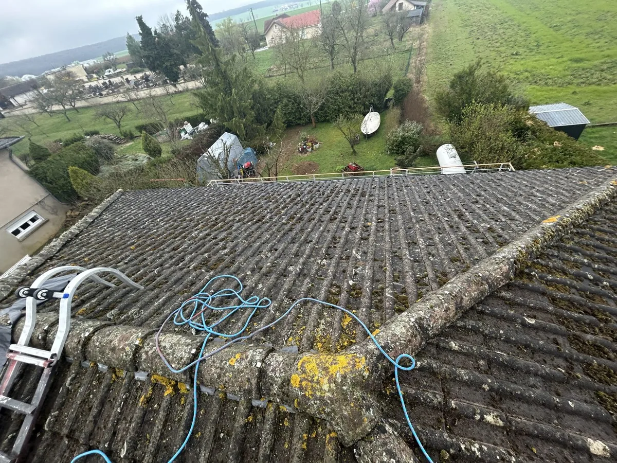Mousses et lichens visibles sur une couverture. Cette vue montre son état avant entretien.